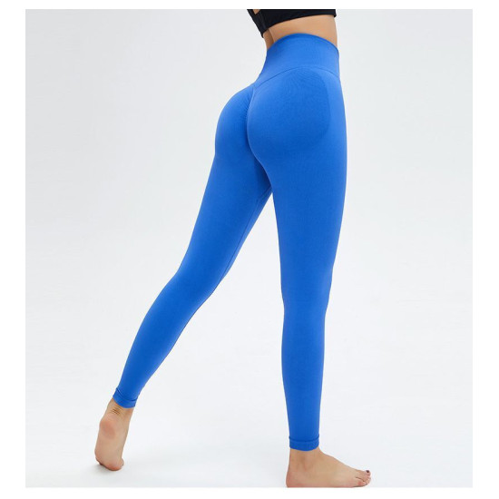 Seamless Yoga Women Leggings Sport High Waist Fitness Butt Lifting Elastic Pants